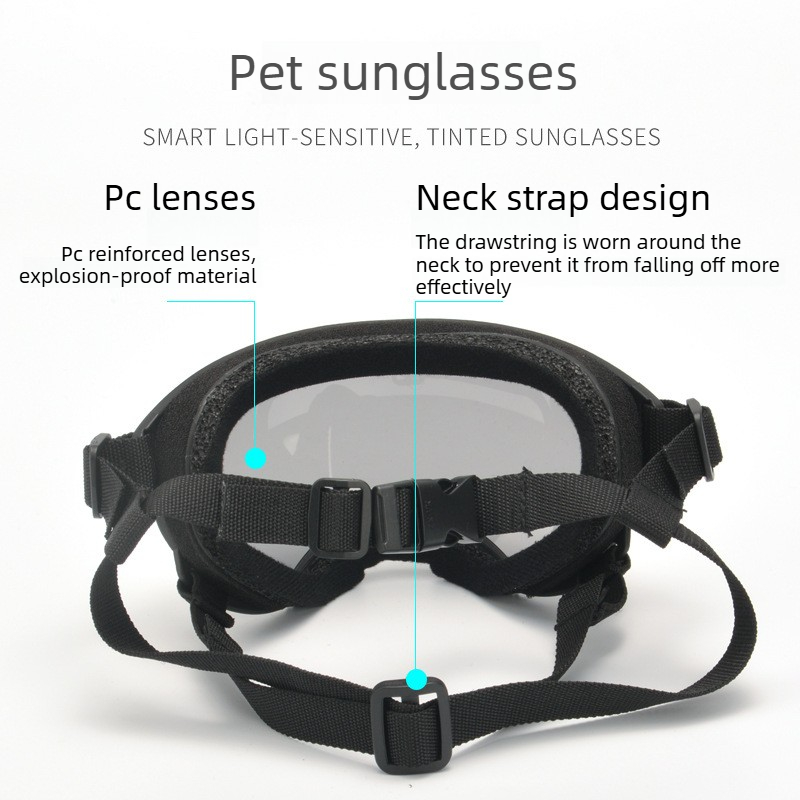 แว่นตาสำหรับสัตว์เลี้ยง ป้องกั - Travel Accessories Gift Ideas บทวิจารณ์และราคา